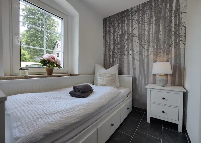 Adelsberg Mit Dachterrasse In Zentraler Lage Fuer Bis Zu 10 Personen Chemnitz